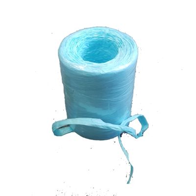 200m Bio Degradable Paper (Rafia) Caribbean Blue (Discontinued)