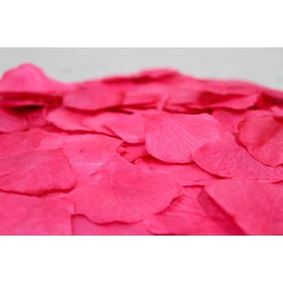 P100 Rose Petals Standard Magenta