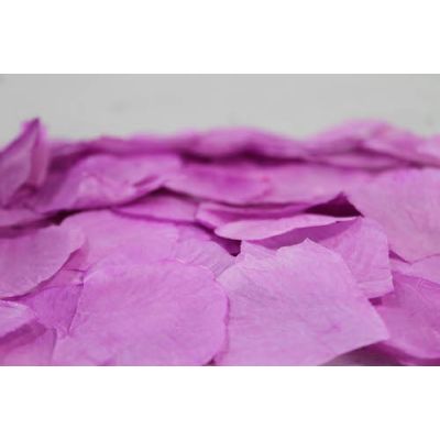 P100 Rose Petals Standard Lilac