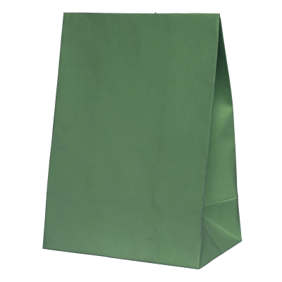 Five Star P10 Paper Party Bag Sage Green