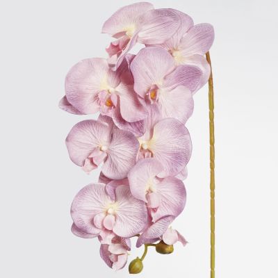 Orchid Phalaenopsis Stem 10 Flowers, 2 Buds (Soft Pink) 95cm