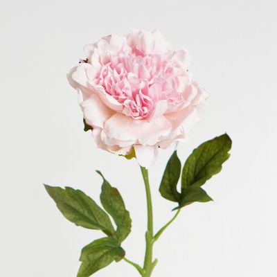 Peony Stem (Soft Pink) Natural Touch 56cm