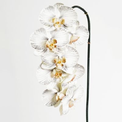 Phalaenopsis Orchid Stem 8 Flowers (Frost White Black) Natural Touch 90cm