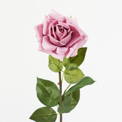 Bella Tea Rose Stem (Dusty Mauve) Natural Touch 74cm