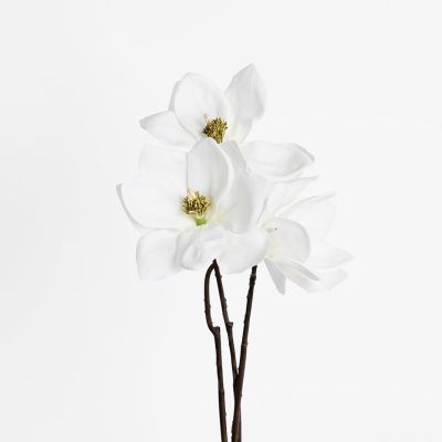 Premium Japanese Magnolia Stem (Blooming White) Natural Touch 52cm