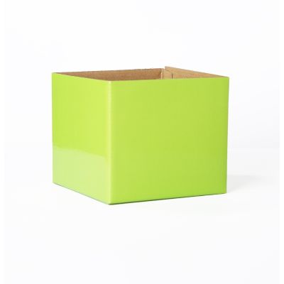 Posy Box (12.5 x 12.5cm) Lime