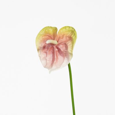 Premium Small Anthurium Stem (Pink Green) Natural Touch 46cm
