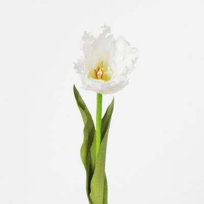 Premium Small Parrot Tulip Stem (Blooming White) Natural Touch 45cm