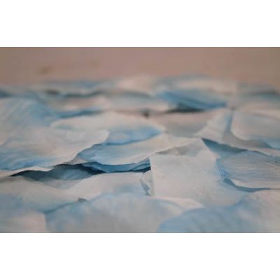 P100 Rose Petals White with Light Blue Tips