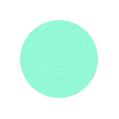 Large 3.8cm Tissue Confetti (250g Zip Lock Bag) Pastel Mint Green