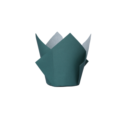 Five Star P20 Tulip Cupcake Case Sage Green