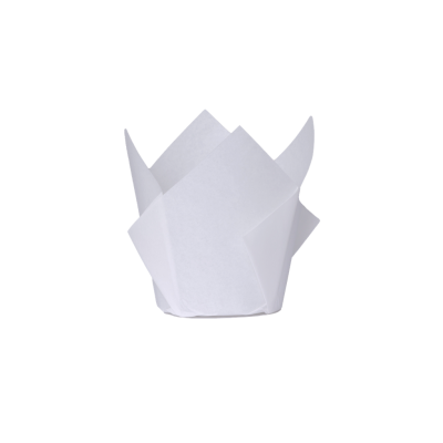 Five Star P20 Tulip Cupcake Case Classic White