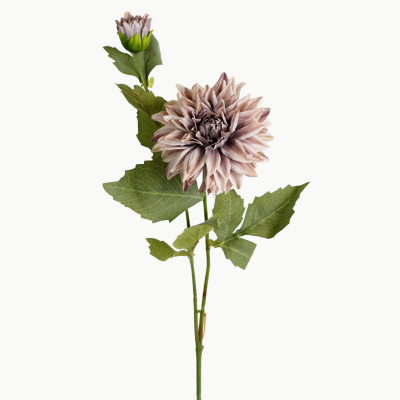 Dahlia Flower Stem with Bud (Ash White) 65cm