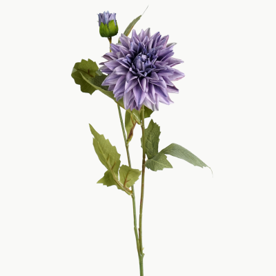 Dahlia Flower Stem with Bud (Purple) 65cm