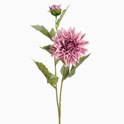 Dahlia Flower Stem with Bud (Pink) 65cm