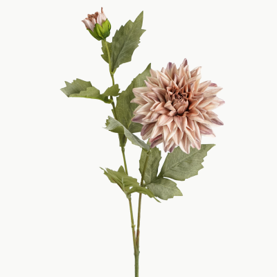 Dahlia Flower Stem with Bud (Brown) 65cm
