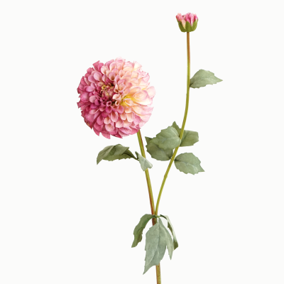 Franz Kafka Dahlia, 1 Flower, 1 Bud Stem (Bloom Lilac) 80cm