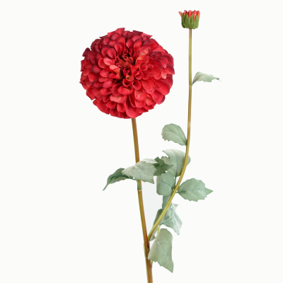 Franz Kafka Dahlia, 1 Flower, 1 Bud Stem (Red) 80cm