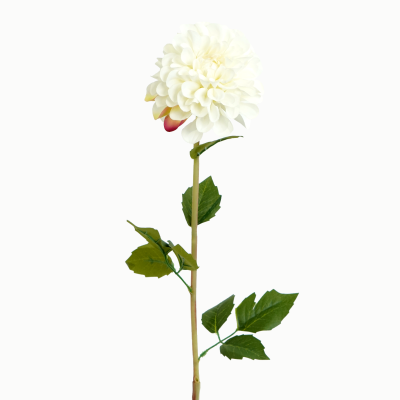 Franz Kafka Dahlia, 1 Flower Stem (White) 66cm