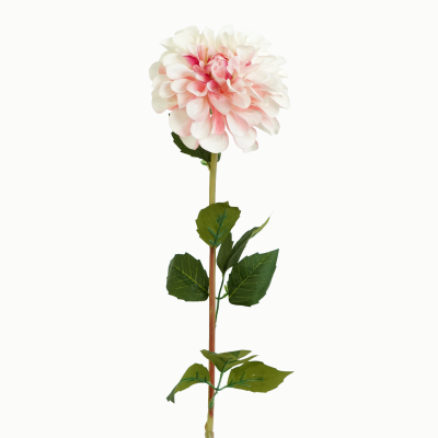 Franz Kafka Dahlia, 1 Flower Stem (Light Pink) 66cm
