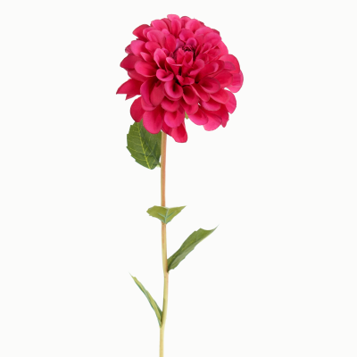 Franz Kafka Dahlia, 1 Flower Stem (Hot Pink) 66cm