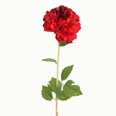 Franz Kafka Dahlia, 1 Flower Stem (Red) 66cm
