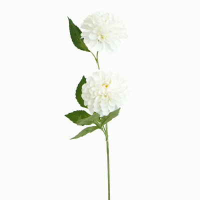 Frank Kafka Dahlia, 2 Flower Stem (White) 64cm