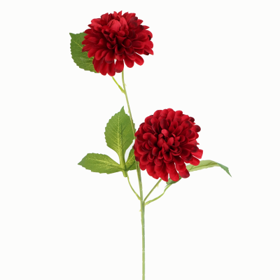 Frank Kafka Dahlia, 2 Flower Stem (Wine Red Wildberry) 64cm