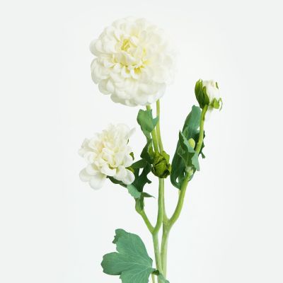 Dahlia Waterlily, 2 Flower, 3 Bud Stem (White) Natural Touch 53cm