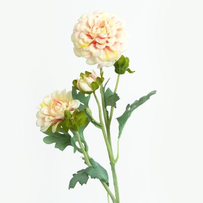 Dahlia Waterlily, 2 Flower, 3 Bud Stem (Pale Pink) Natural Touch 53cm