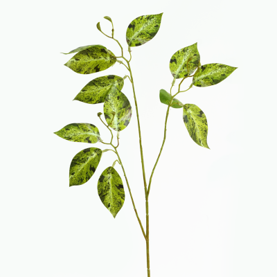 Golden Pothos Leaf Spray, 3 Stems, 12 Leaves (Green) 86cm
