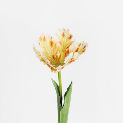 Premium Large Parrot Tulip Stem (Blooming Yellow) Natural Touch 61cm