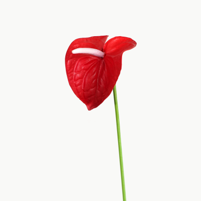Premium Medium Anthurium Stem (Red) Natural Touch 46cm