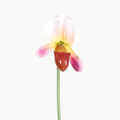 Premium Small Lady Slipper Orchid Stem (Pink) Natural Touch 46cm